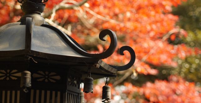 京都伏見稲荷の紅葉の見頃の時期と周辺のおすすめ紅葉狩りスポット Toptrip